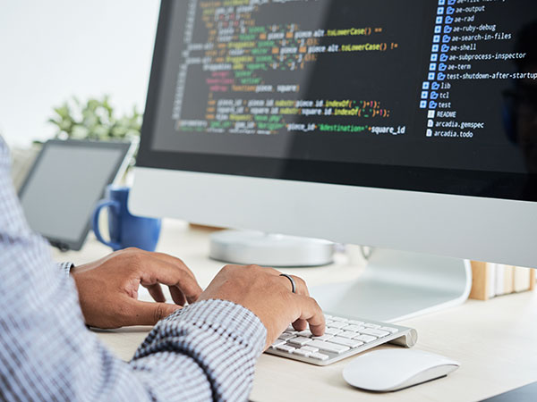 Static & Dynamic Website Development